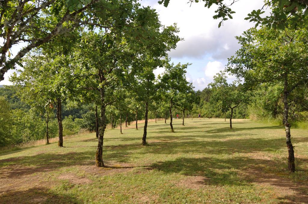 Domaine De La Greze Hotel Murat Esterno foto